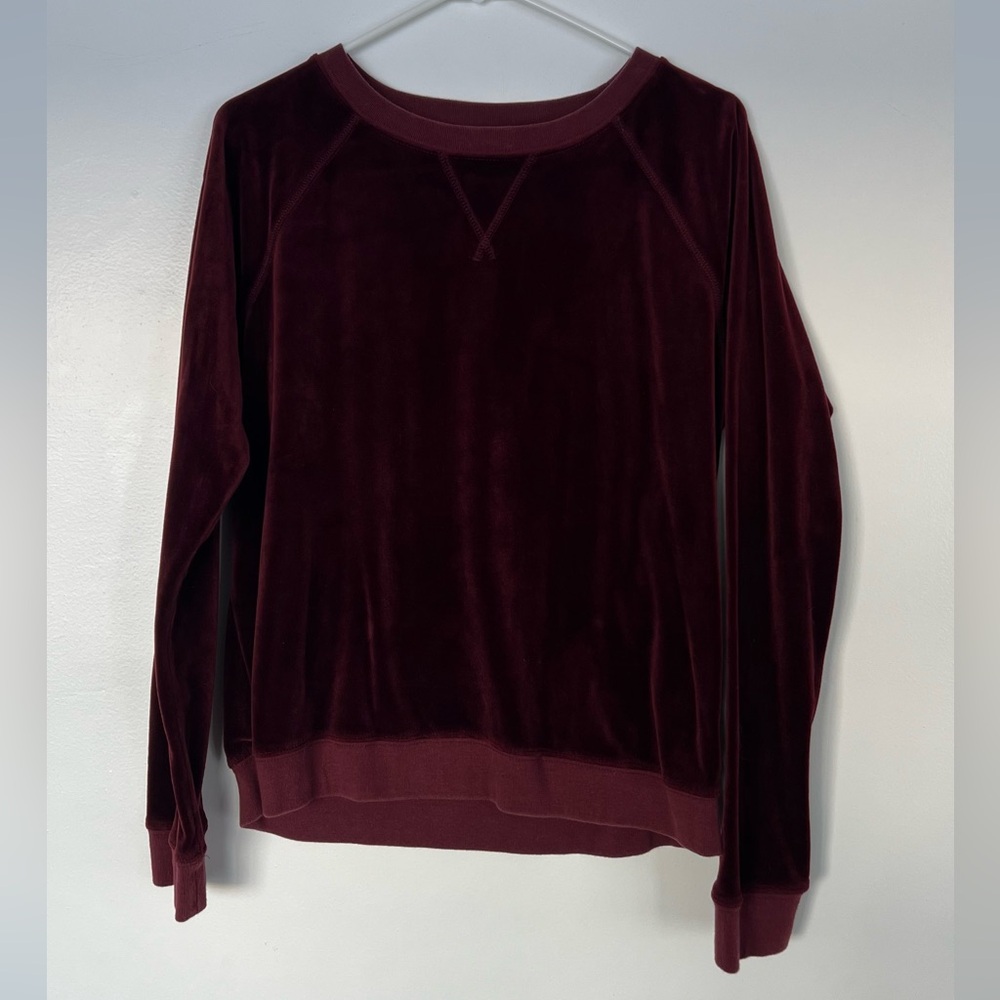 Sanctuary velour crewneck sweatshirt